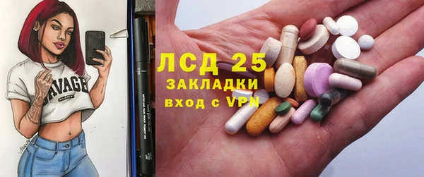 хмурый Нея