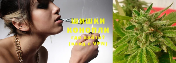 хмурый Нея