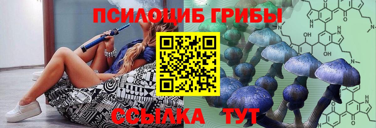 Псилоцибиновые грибы Psilocybine cubensis Норильск