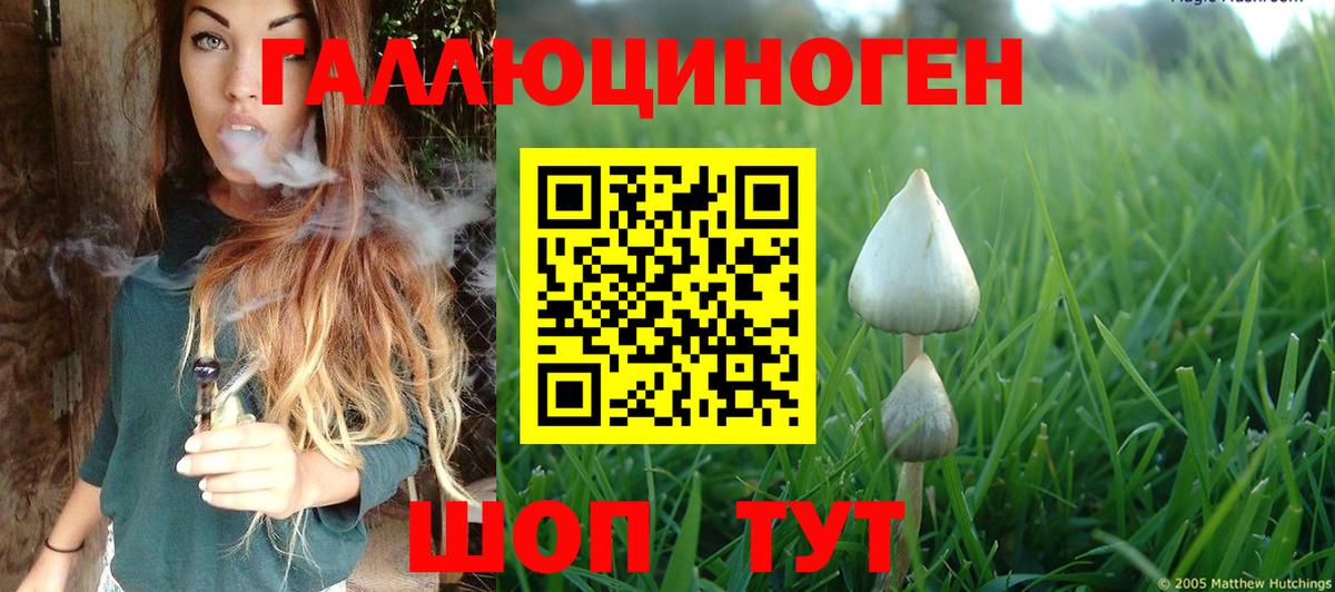 закладки  Галлюциногенные грибы Psilocybe  Вход с VPN  Галлюциногенные грибы прущие грибы  Норильск 